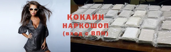 PSILOCYBIN Покачи