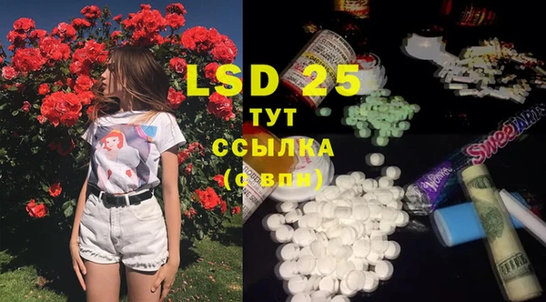 PSILOCYBIN Покачи