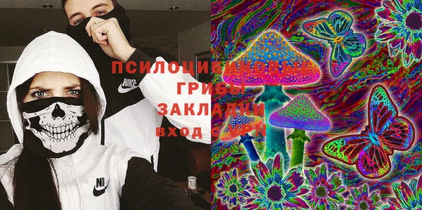 PSILOCYBIN Покачи