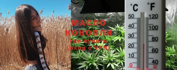 PSILOCYBIN Покачи