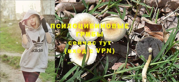 PSILOCYBIN Покачи