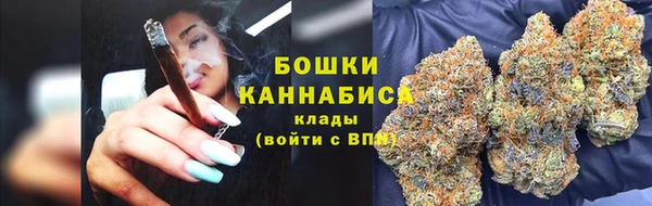 шишки Семёнов